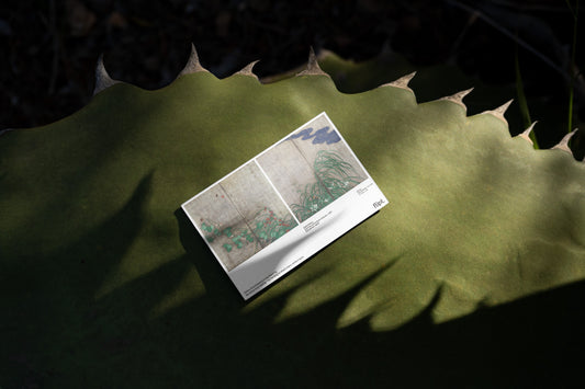 25 Autumn — On Summer Flowers, Grasses, and the Time Between - flipt.