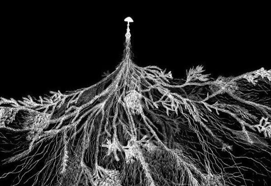 Part I. Mycelium as an Enduring, Intelligent Lifeform - flipt.